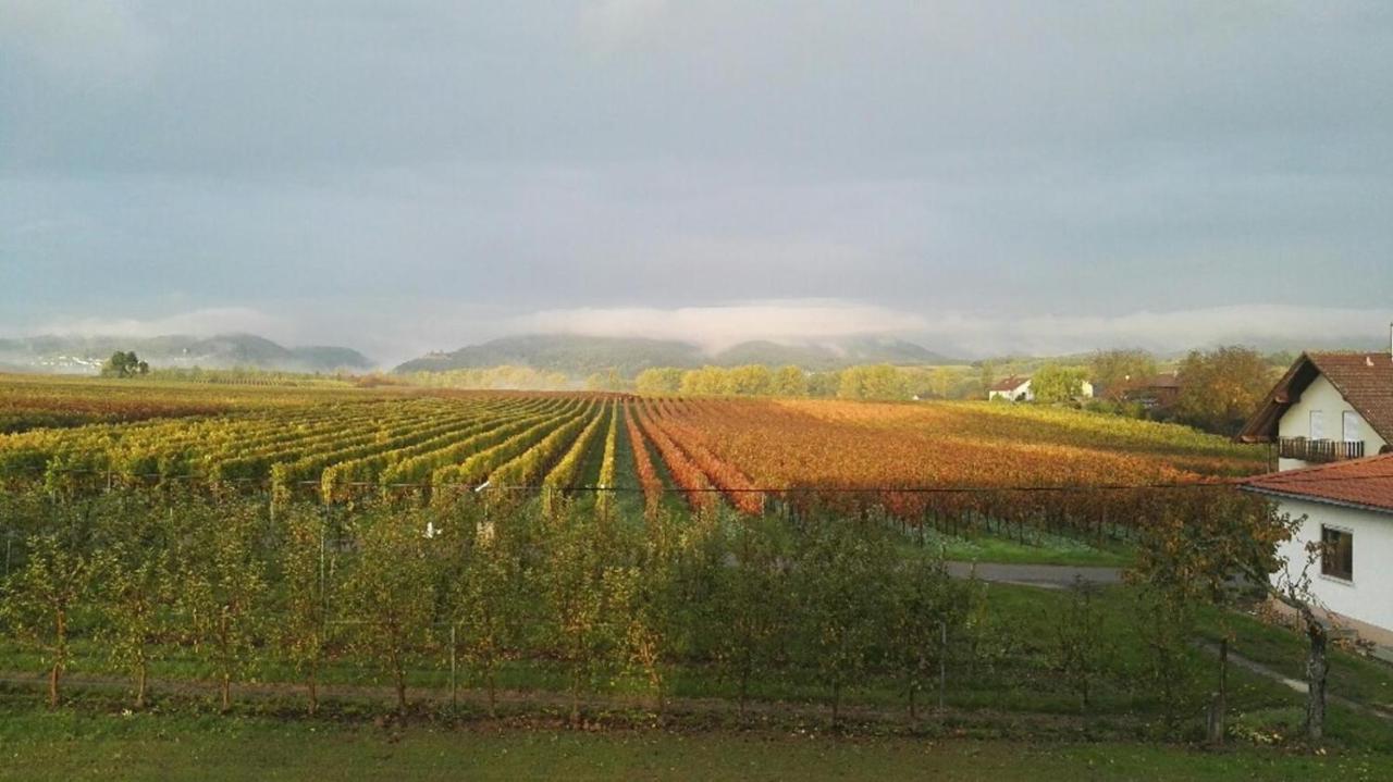 Valley Ferienwohnung Suew Heuchelheim-Klingen 외부 사진